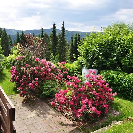 Ferienhaus Im Thüringer Wald/ Haus Selma Suhl