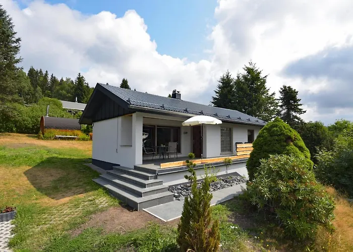 Im Thueringer Wald/ Haus Selma