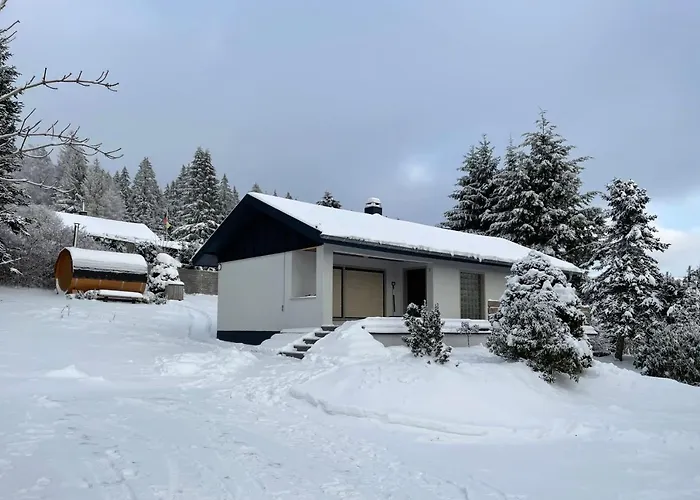 Im Thueringer Wald/ Haus Selma Tatil Evi